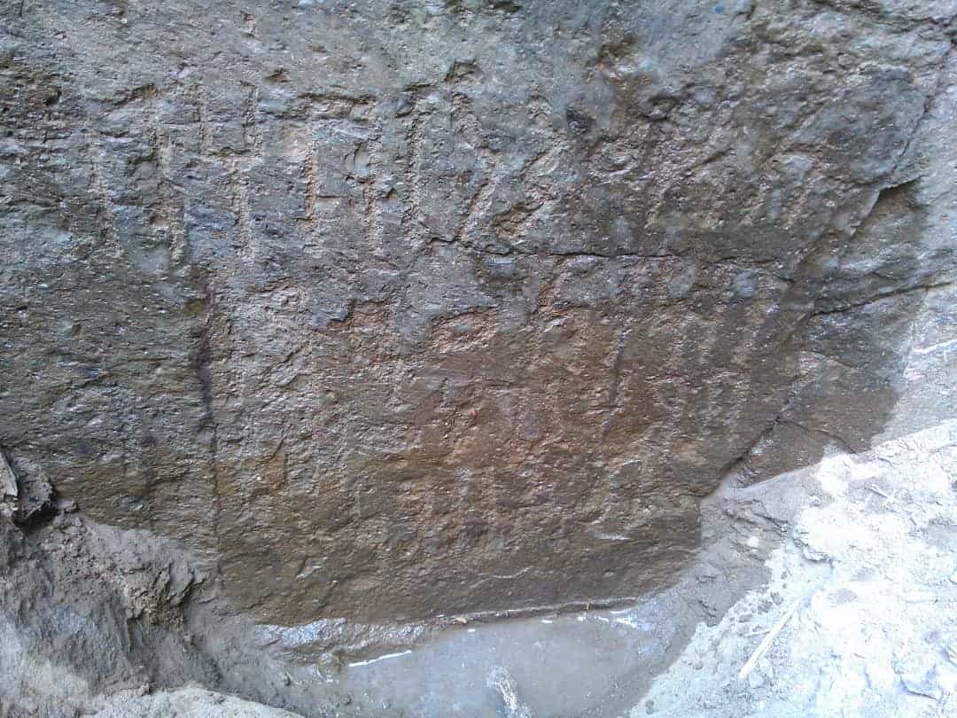 الشرعي الذراع 2